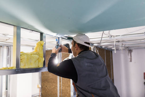 Best Geographic-Specific Insulation Services in San Jacinto, CA